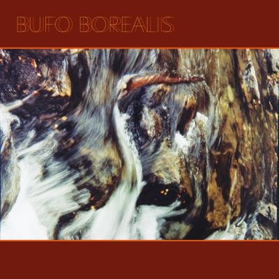Natureza - Bufo Borealis