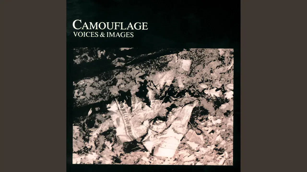  - Camouflage