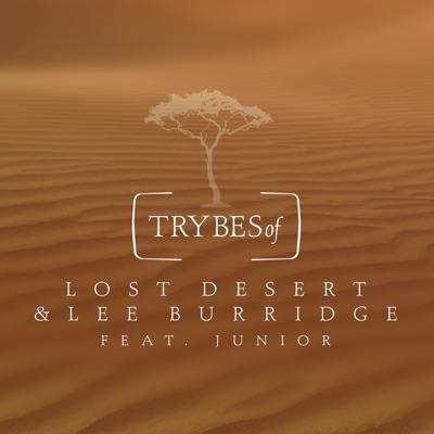 Vutuka - Lee Burridge/Lost Desert/Junior