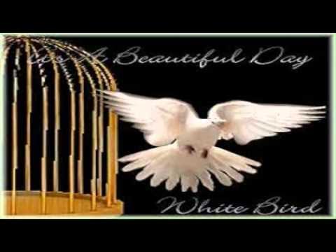 It's A Beautiful Day - It's A Beautiful Day