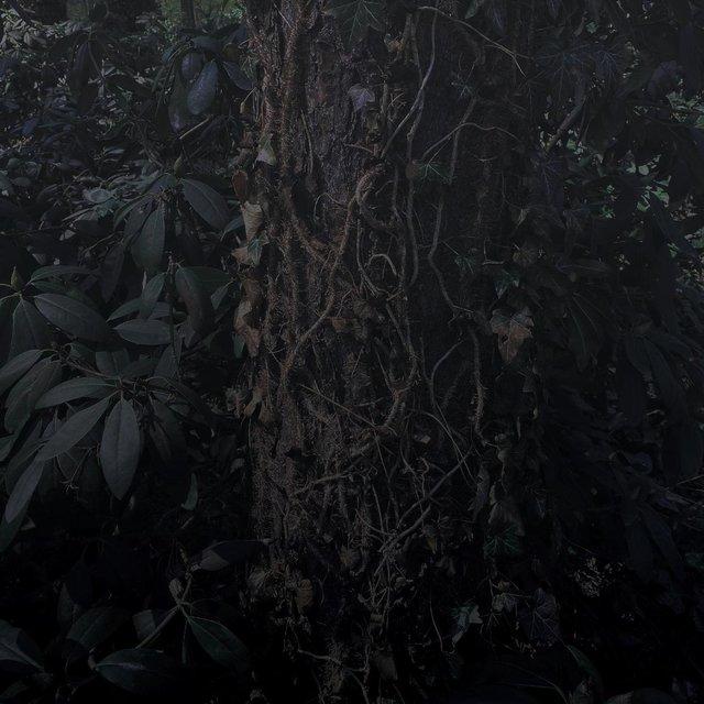 Choreographies of Decay - J.Doursou