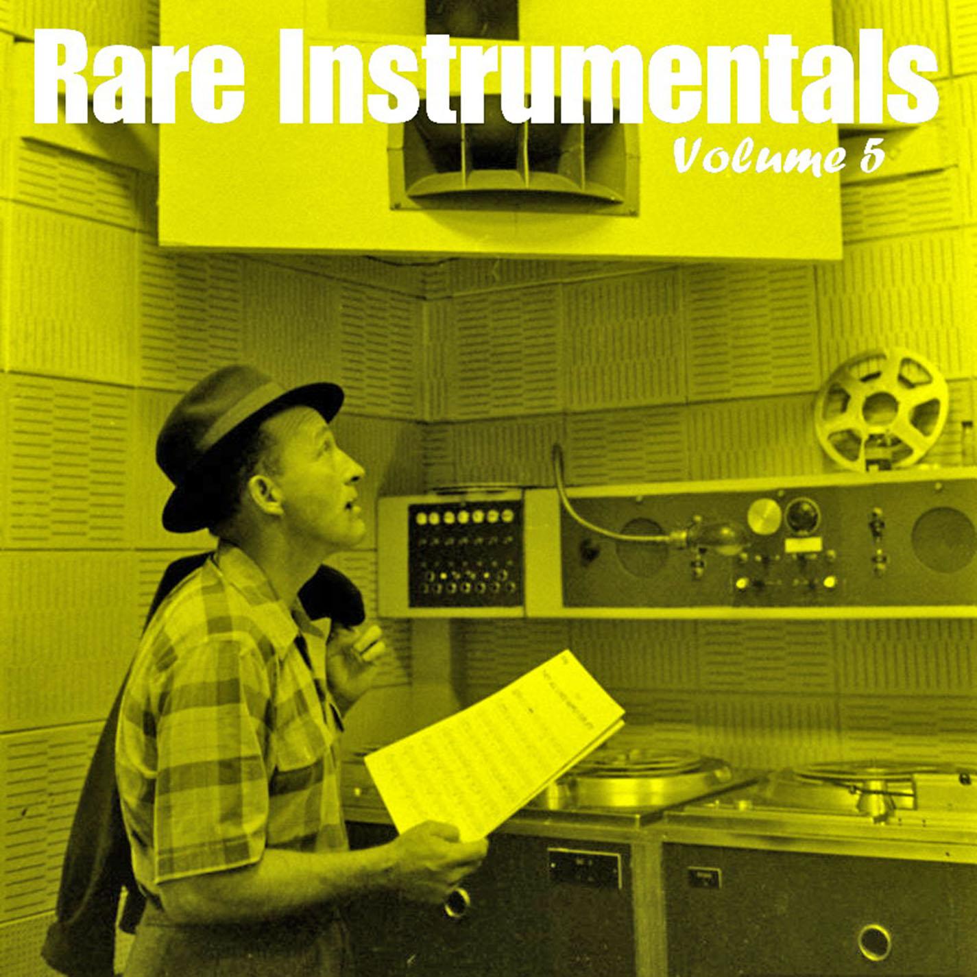 Rare Instrumentals From Vinyl - Vol 5 - The Sunspots