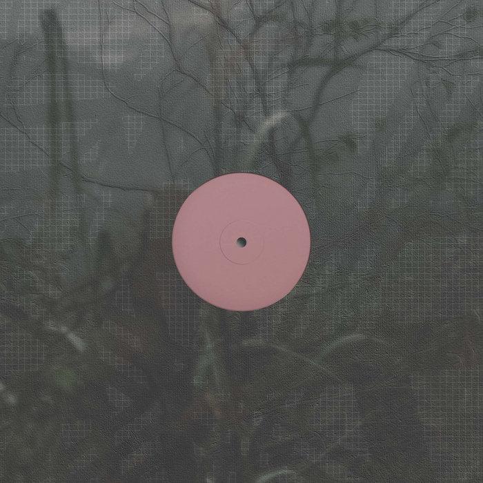 For the Early Hours of a World in Bloom - Alien D