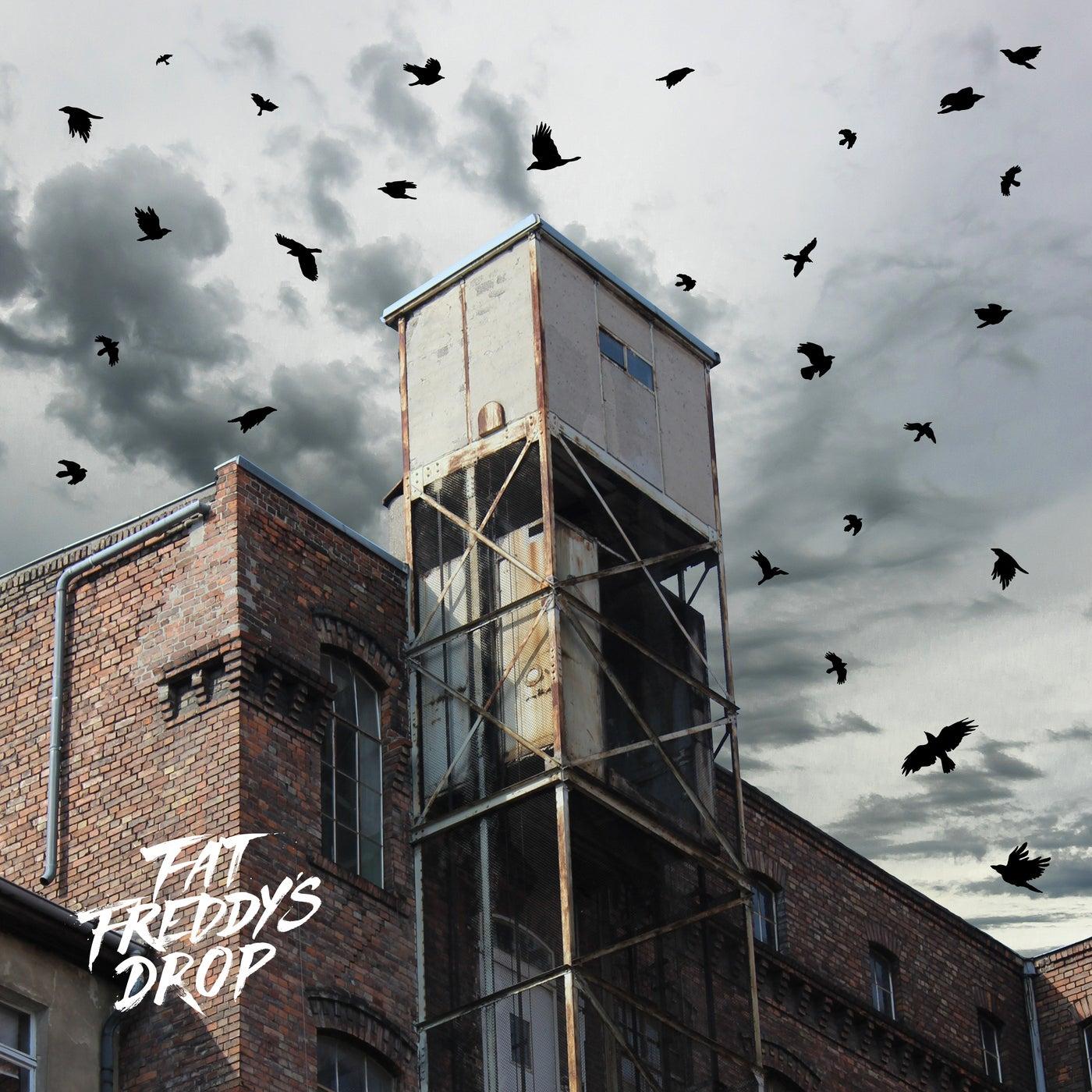 Blackbird Returns - Fat Freddy's Drop, The KBCS