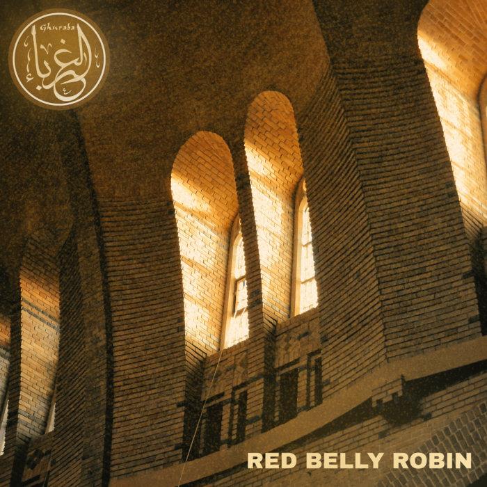 Red Belly Robin - Ghuraba    الغرباء