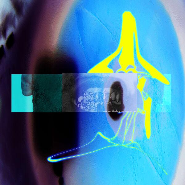  - ELUCID