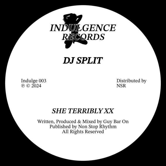 She Terribly XX - Dj Split