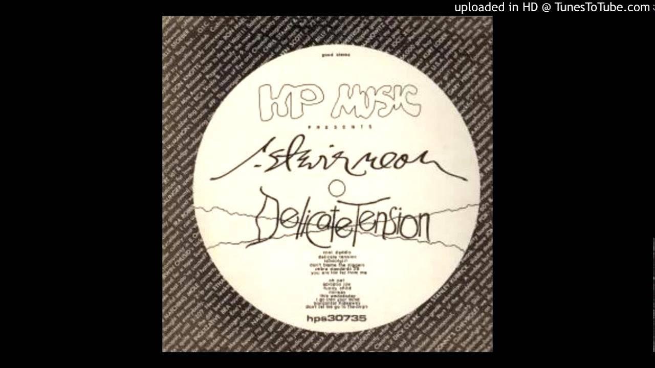 Delicate Tension - R. Stevie Moore