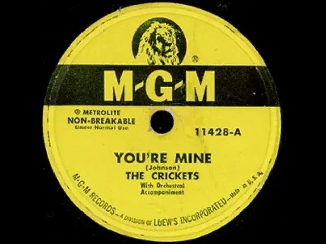 You're Mine / Milk And Gin - The Crickets