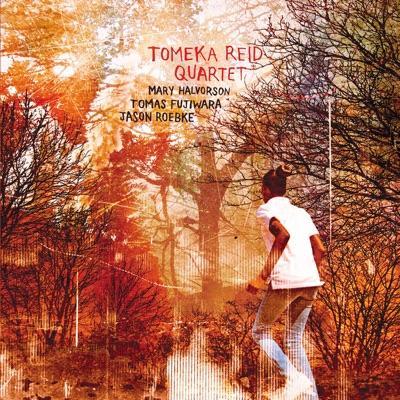 Tomeka Reid Quartet - Tomeka Reid