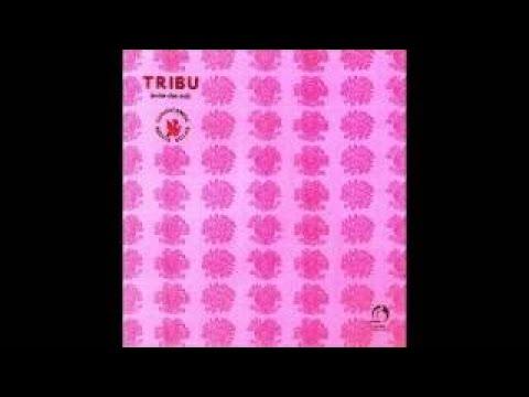  - Tribú
