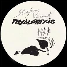 Phyllotaxis - Stefan Vincent