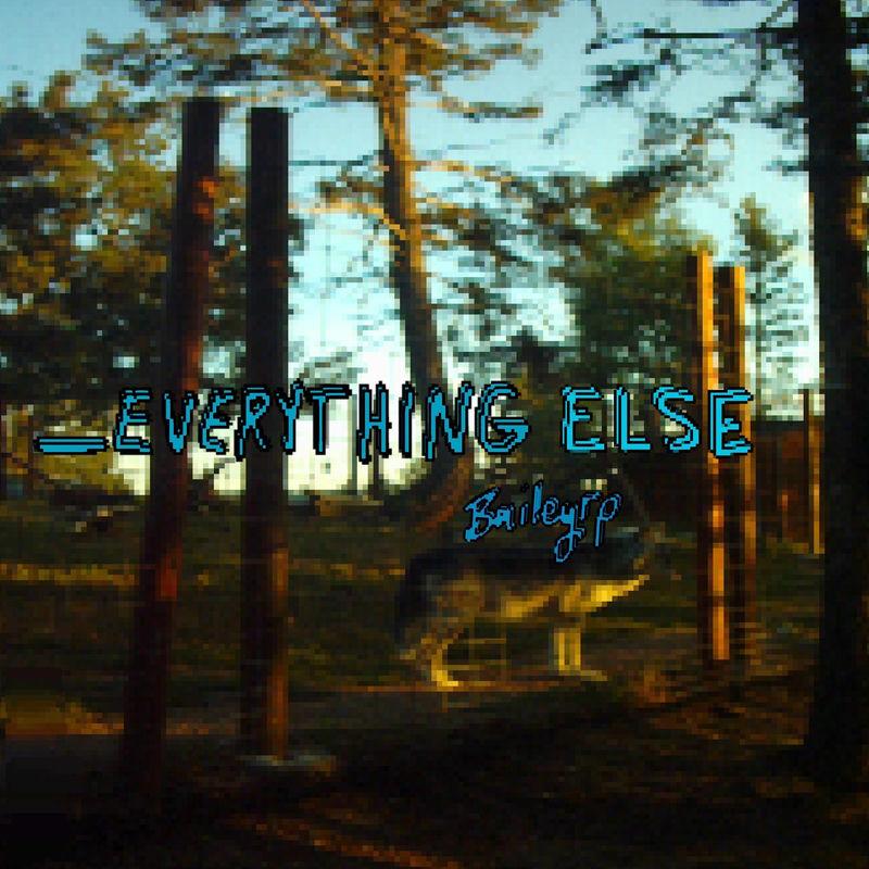 _Everything else (reimagined) - Baileyrp