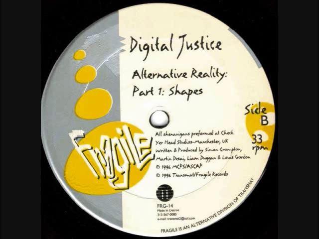  - Digital Justice