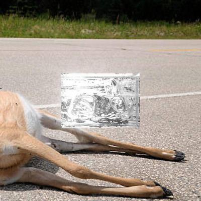 Snowrabbit/Deer - Ty Glycerine