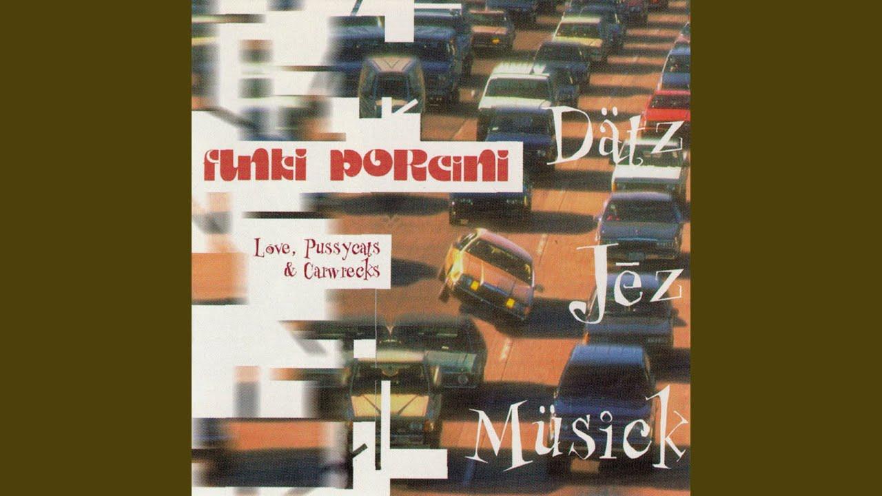 Love Pussycats & Carwrecks - Funki Porcini