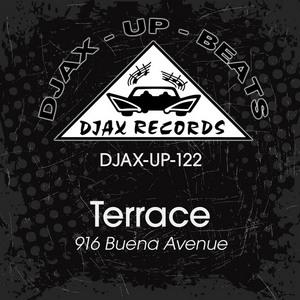 916 Buena Avenue - Terrace