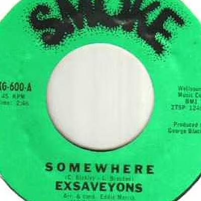  - Exsaveyons