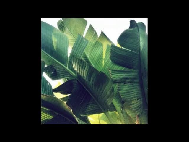 Onde Anda LP - Fatnotronic & In Flagranti