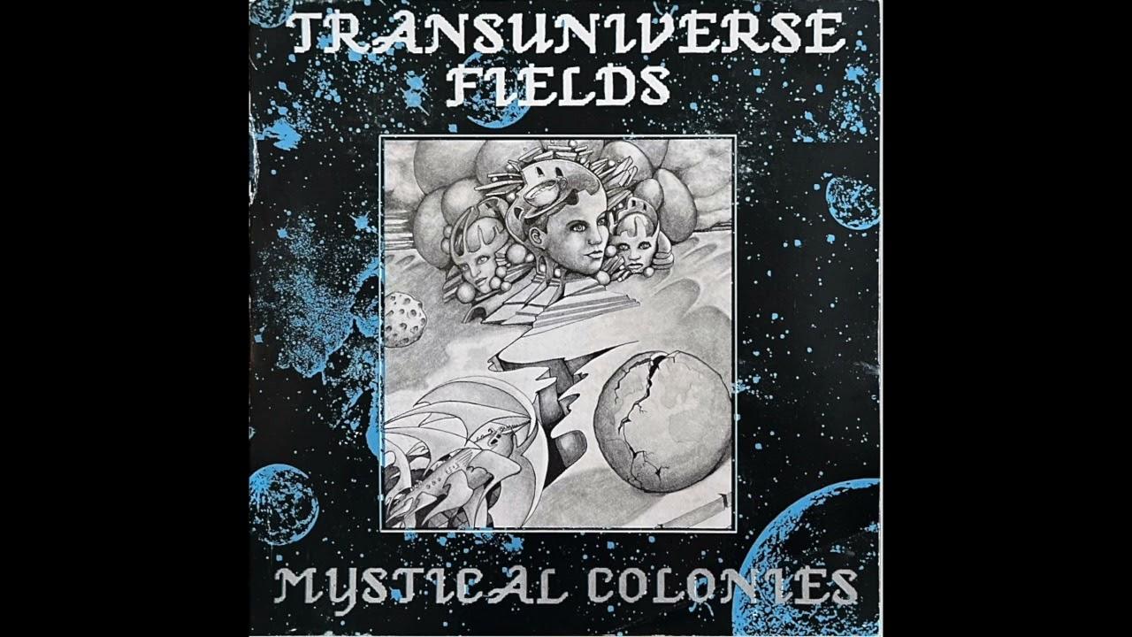  - Transuniverse Fields