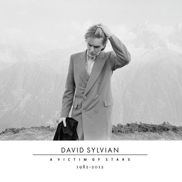 A Victim Of Stars 1982-2012 - Ryuichi Sakamoto & David Sylvian