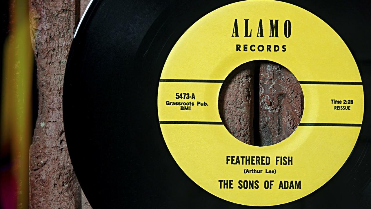 Feathered Fish - The Sons Of Adam