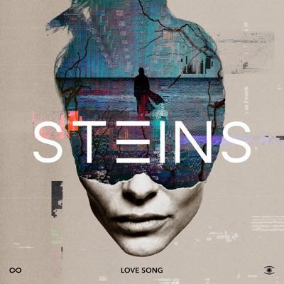  - Steins
