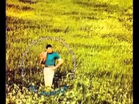 Gemini / Magical Musical Box - Del Shannon