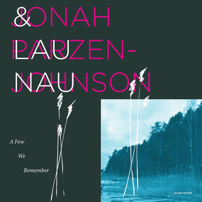 A Few We Remember - Jonah Parzen-Johnson