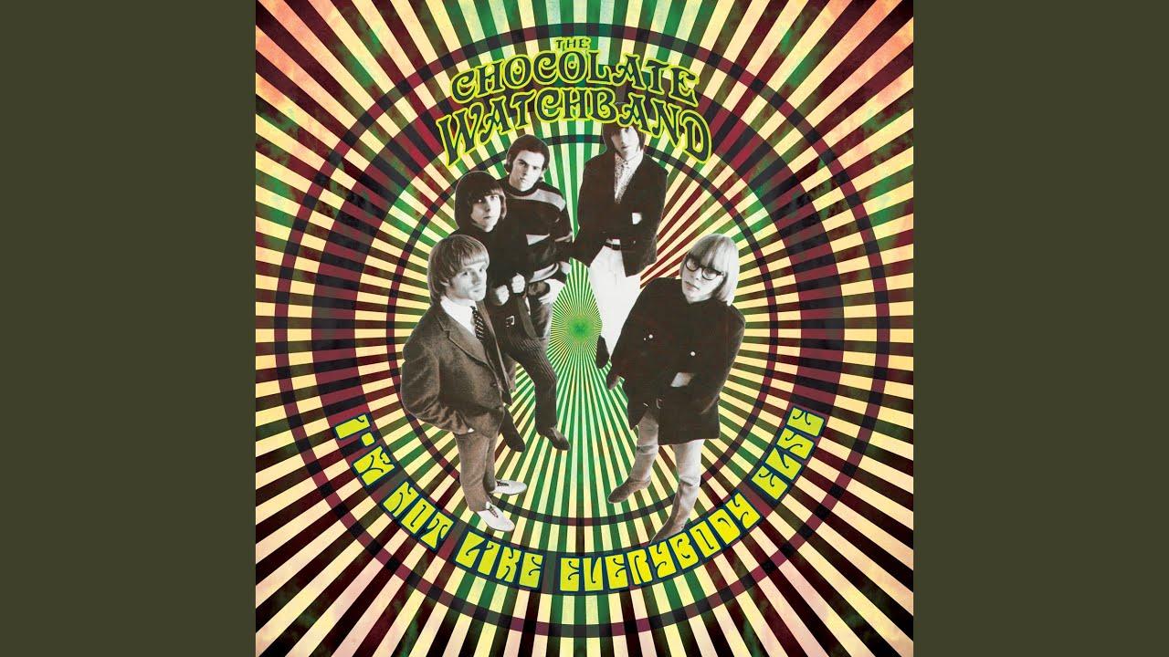 I'm Not Like Everybody Else (Re-Recorded) - The Chocolate Watchband