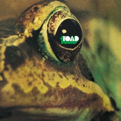 Toad - Toad
