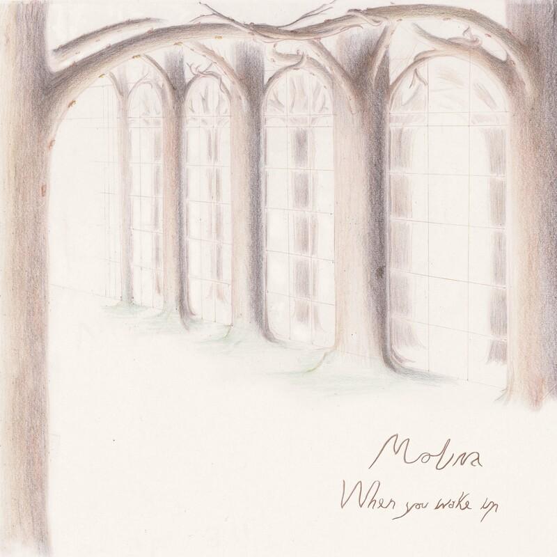 When You Wake Up - Molina