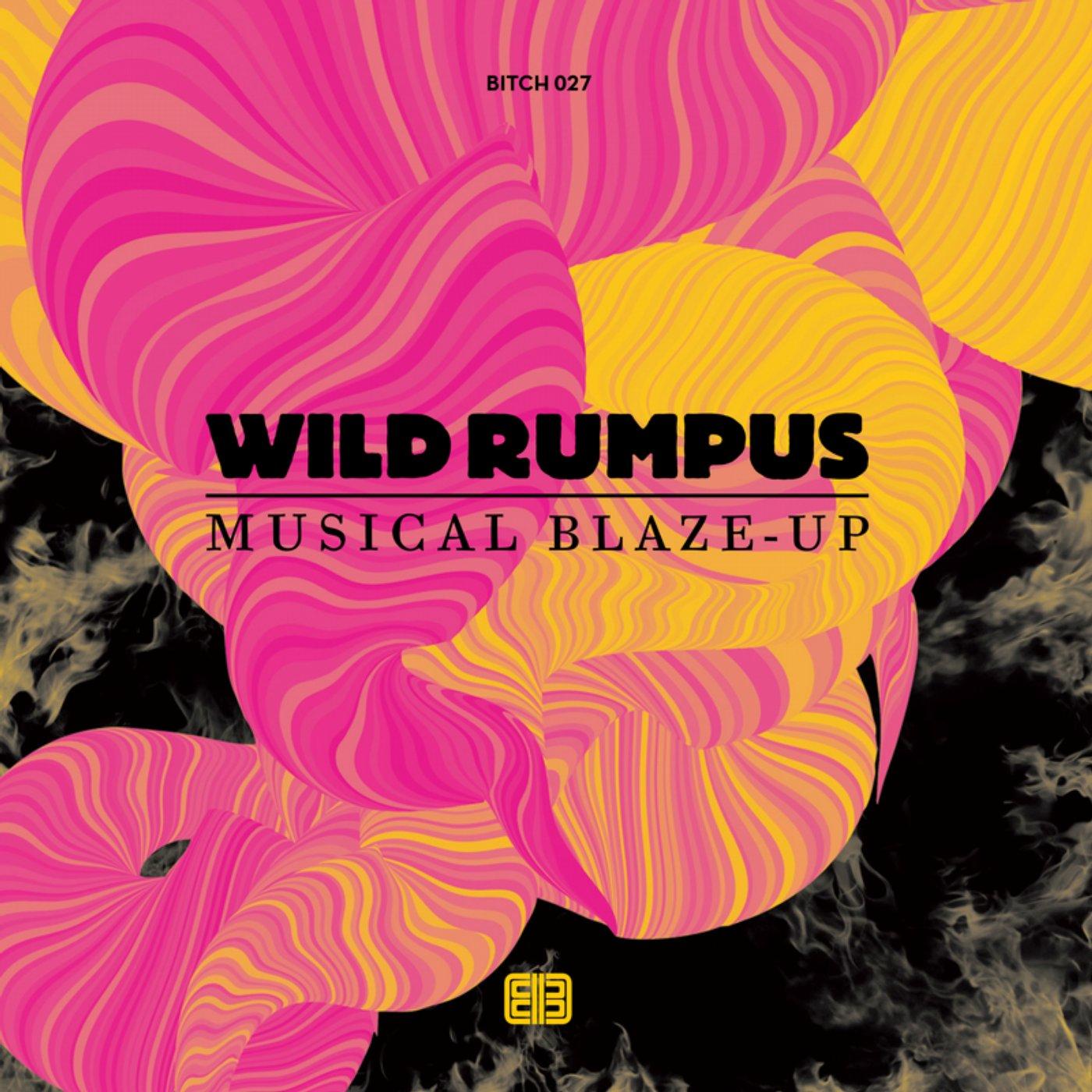 Musical Blaze-Up - Cosmo, Gary Lucas, Wild Rumpus