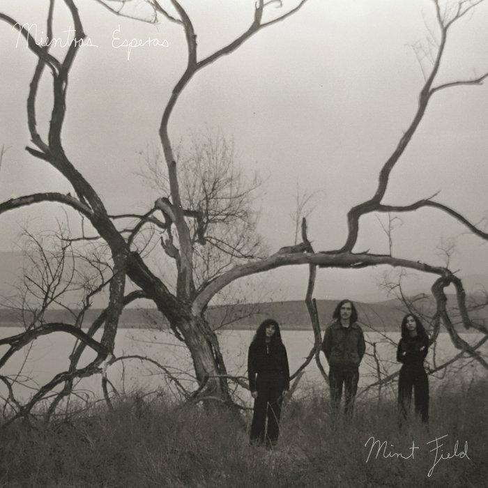 Mientras Esperas - Mint Field