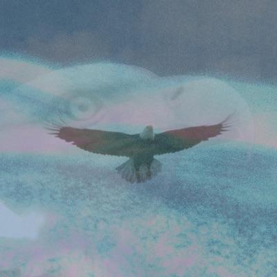 Eagle Eye - Daniel Stark