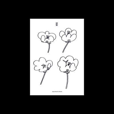 Poppies - Lawrence