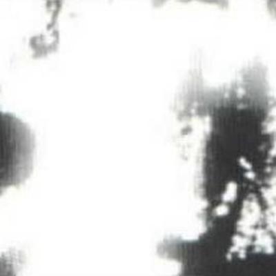 Awa 沫 Foam - Mad Tea Party