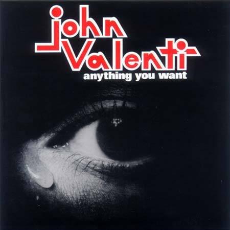 Anything You Want - John Valenti