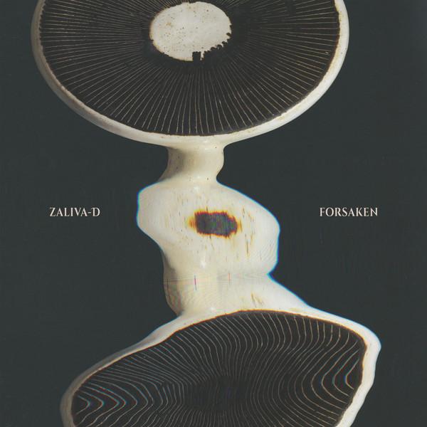 Unknown - Zaliva-D