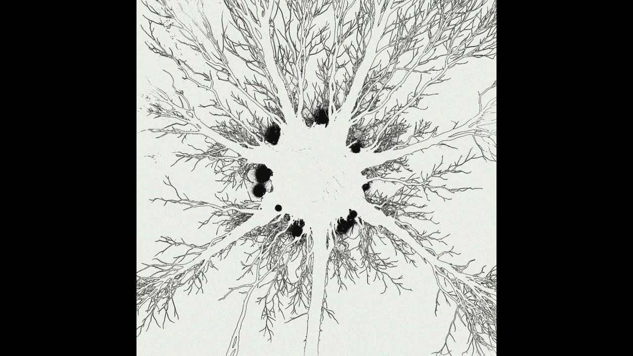Variations sur Absolune - AJA