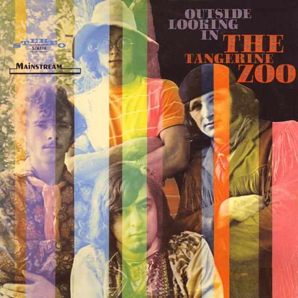 Outside Looking In - Tangerine Zoo