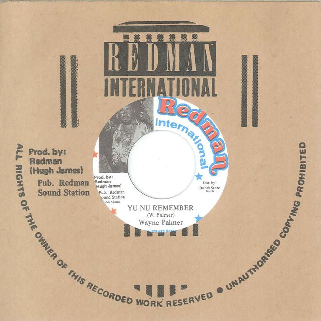 Yu Nu Remember / Version - Wayne Palmer