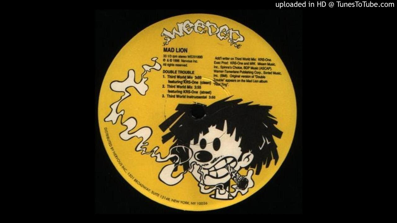 Real Ting - Mad Lion