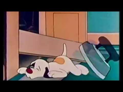 Hot Dog Rock And Roll / Hot Dog Boogie - Don Charles' Singing Dogs