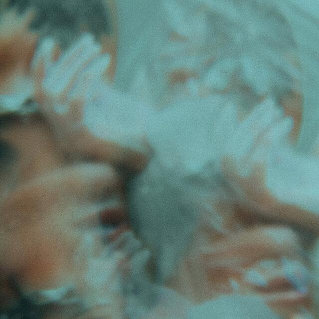Rotten Mind - Fashion Club