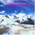 Summer In The Southeast - Bonnie "Prince" Billy