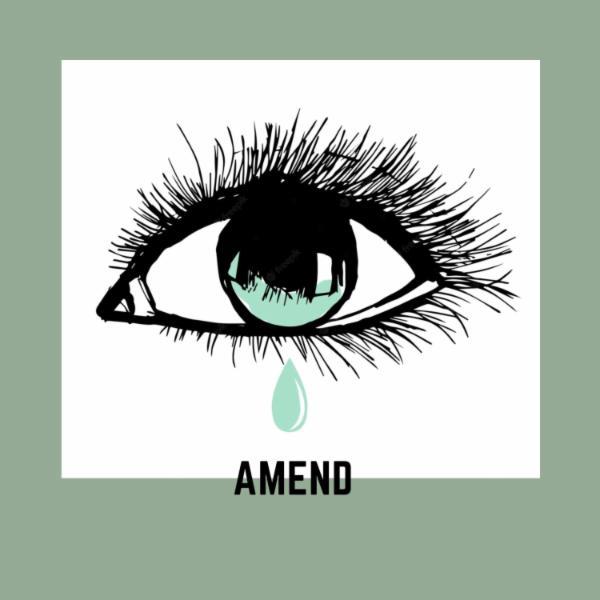 Amend (Remix) - DullMiller