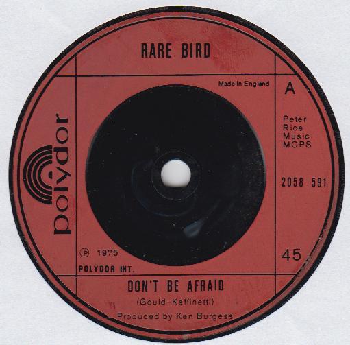 Don't Be Afraid - Rare Bird
