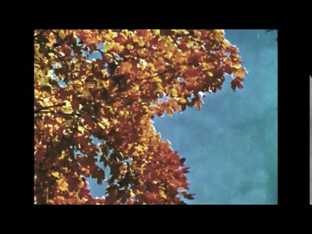 holograph tapes vol. 1 - orchid mantis