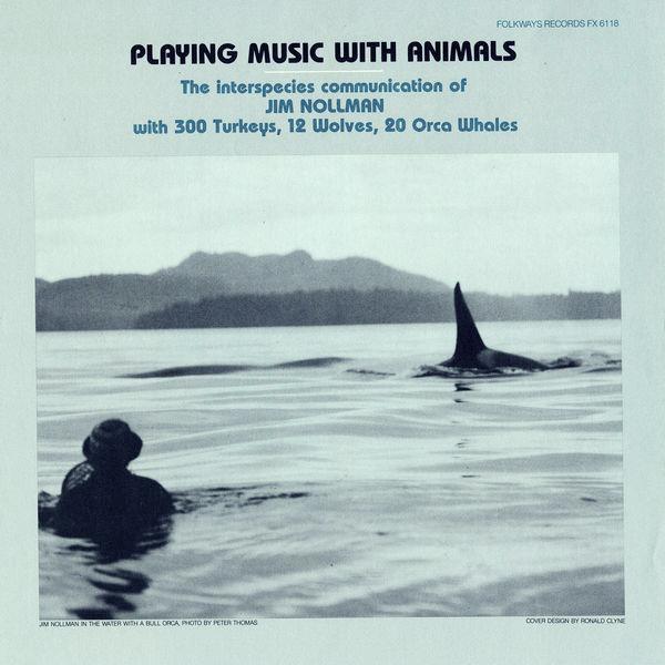 Playing Music with Animals: Interspecies Communication of Jim Nollman with 300 Turkeys, 12 Wolves and 20 Orcas - Jim Nollman
